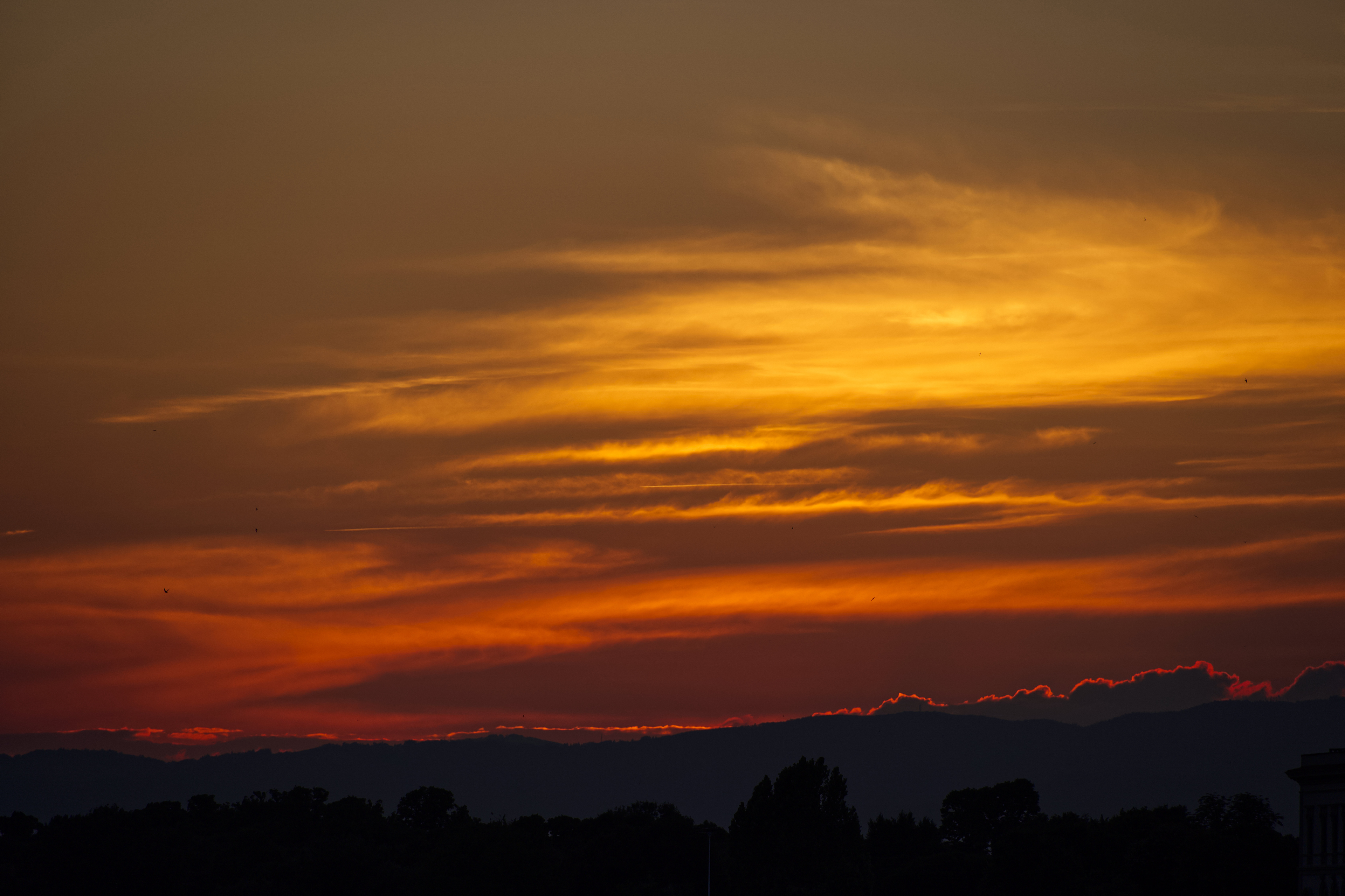 Apple Photos Document