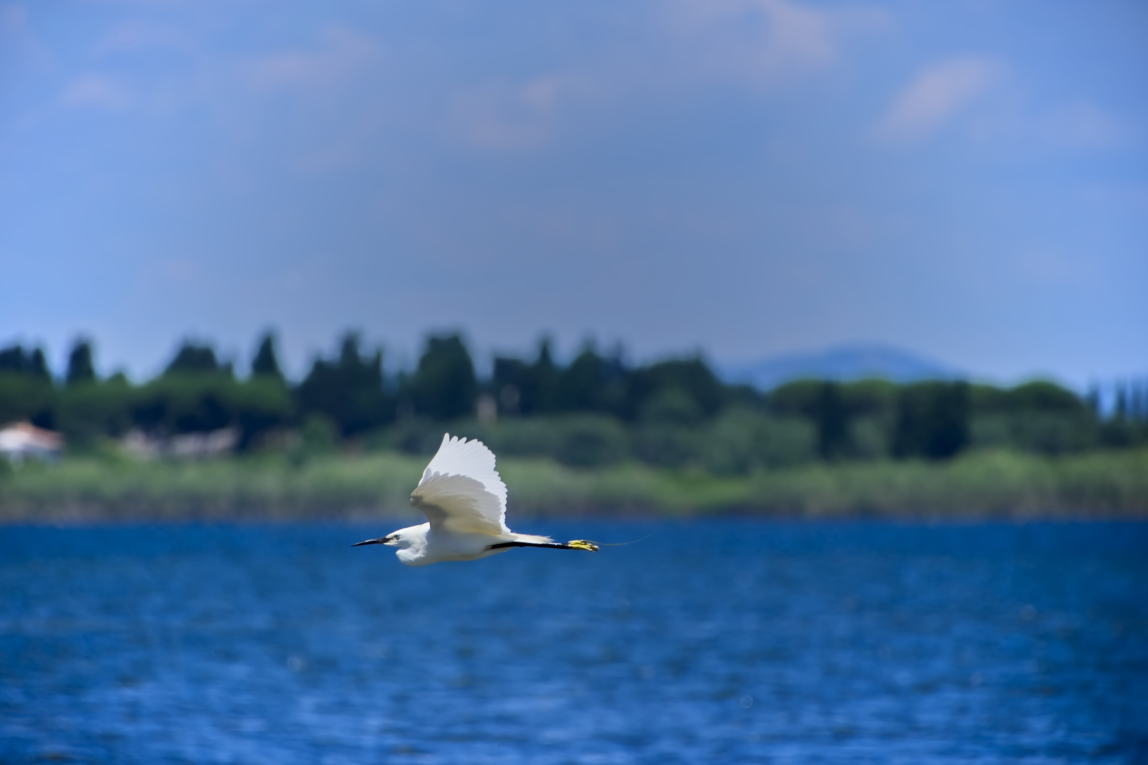 Apple Photos Document