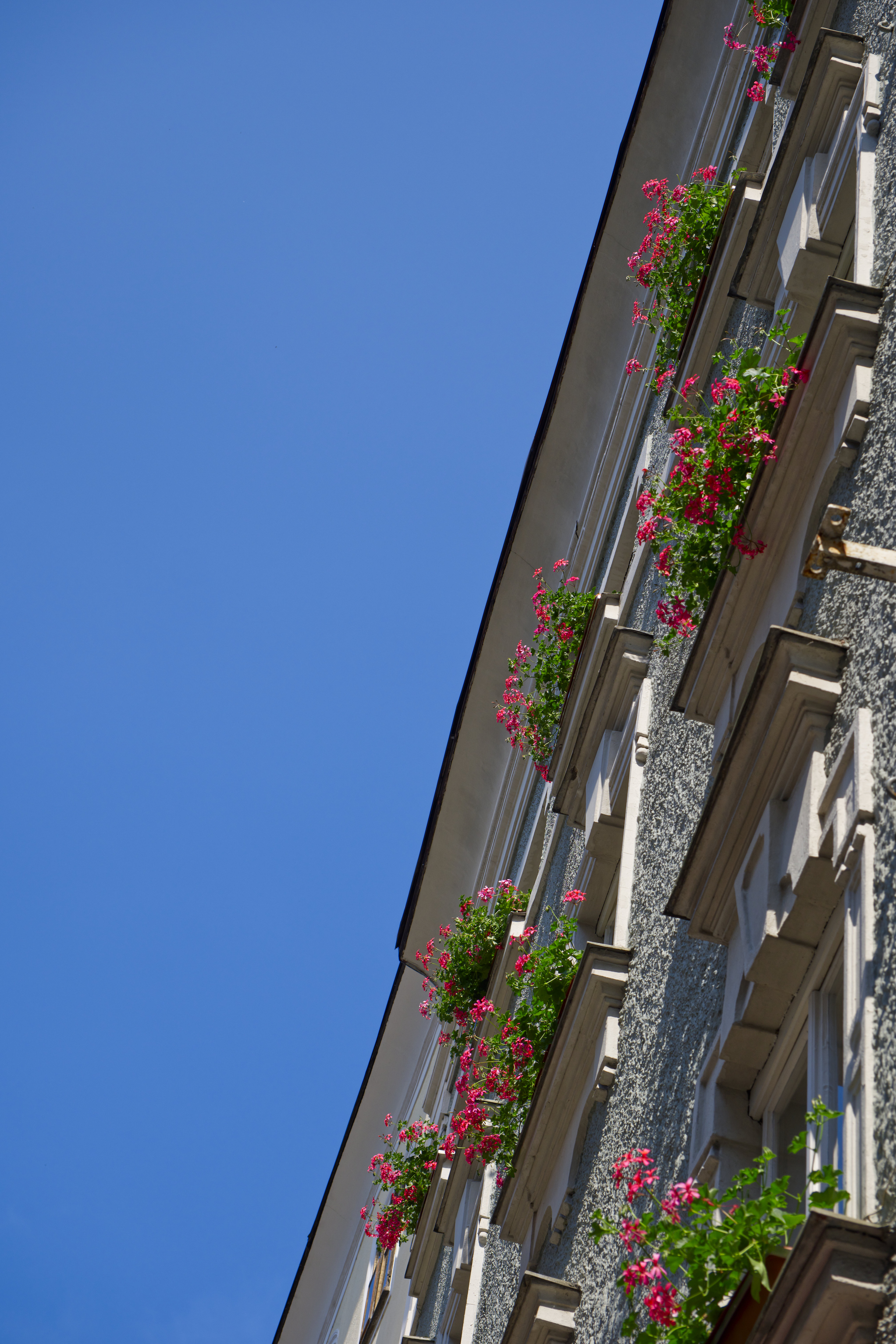 Apple Photos Document