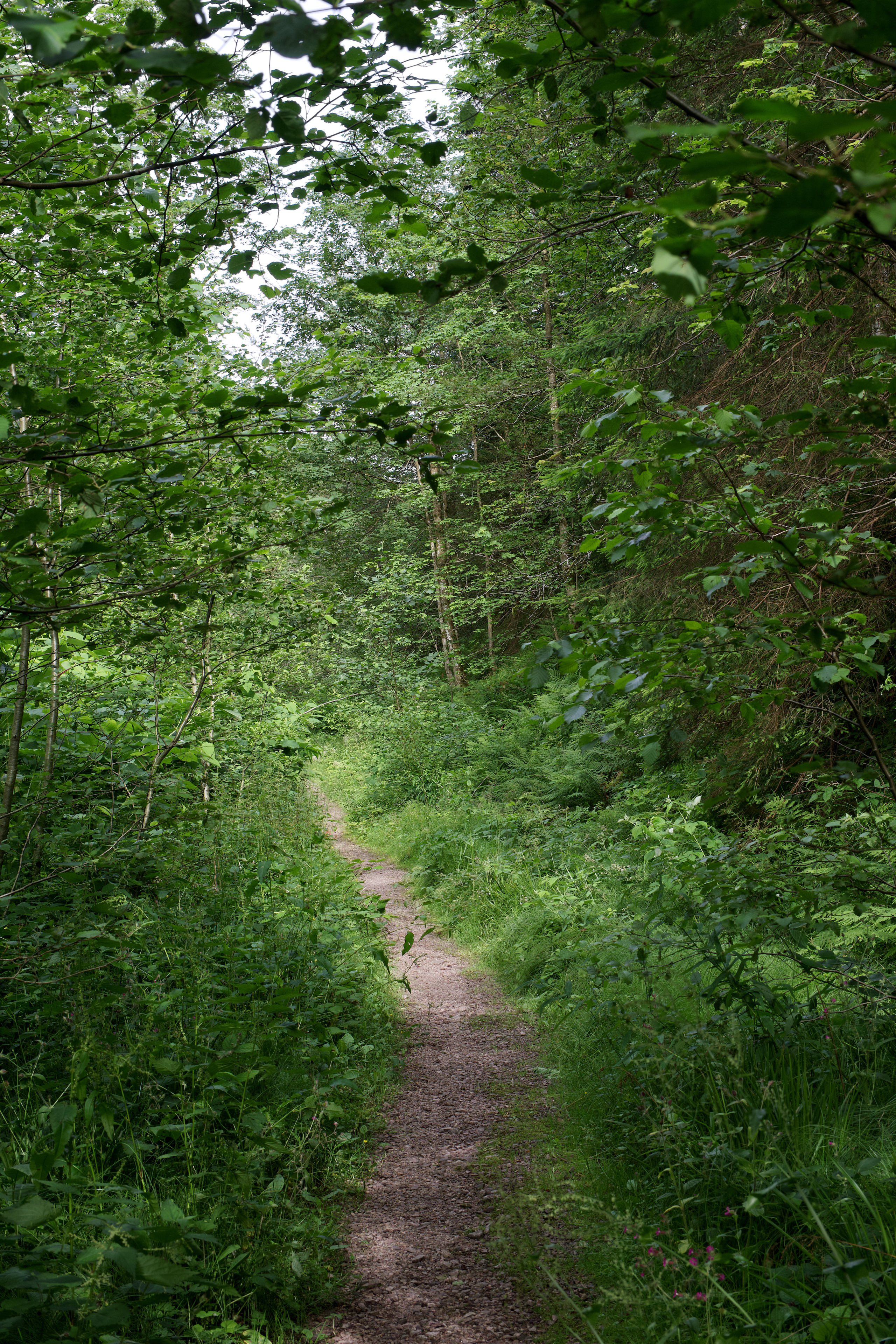 Apple Photos Document