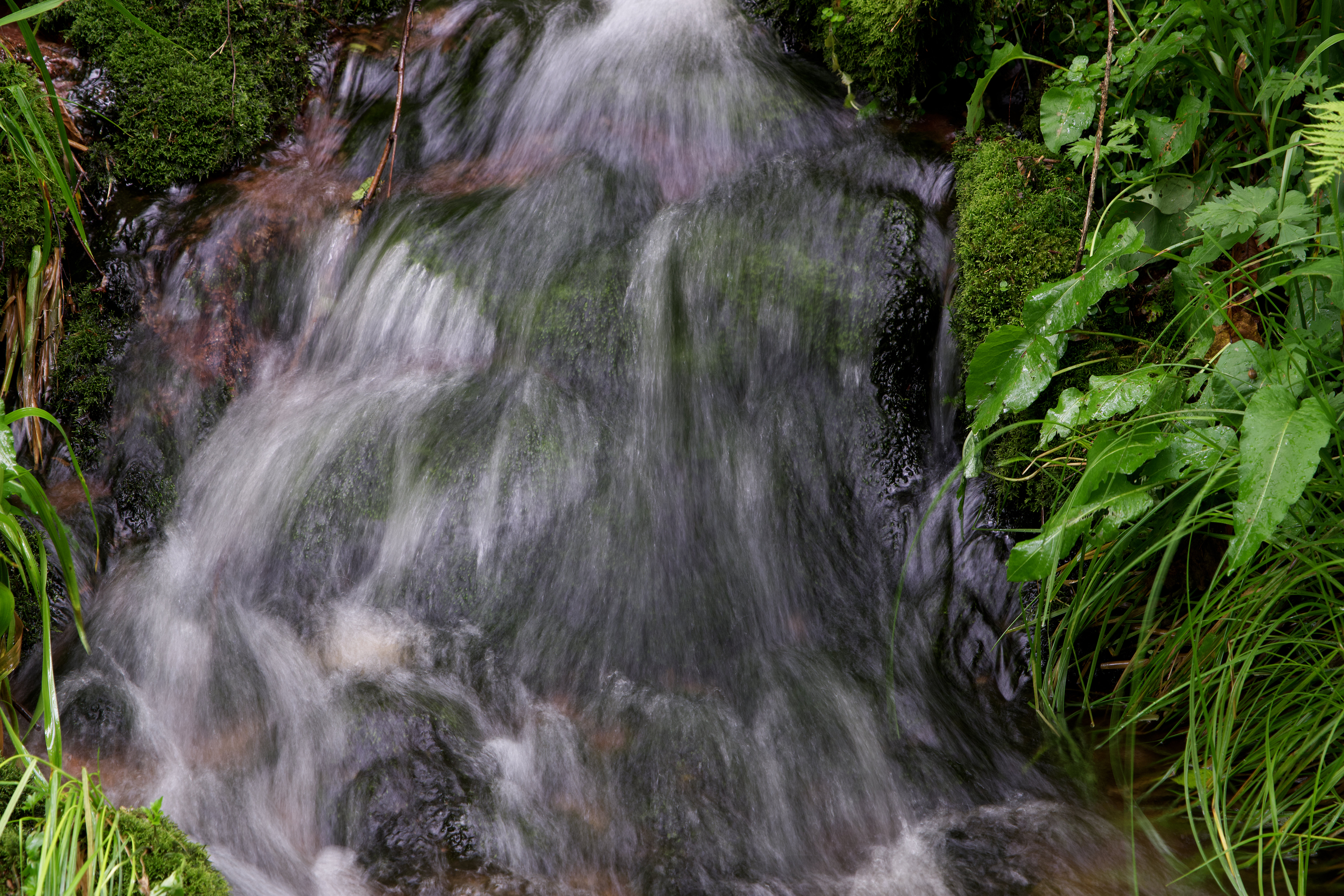 Apple Photos Document