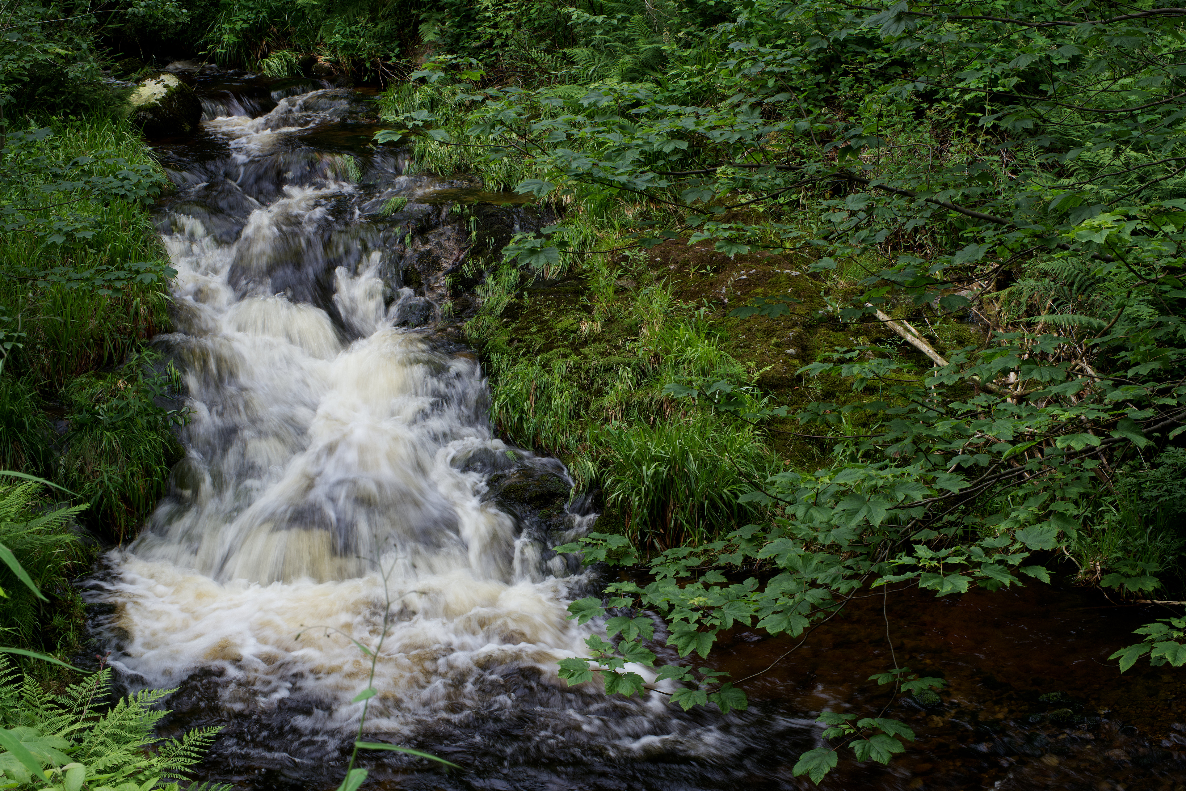 Apple Photos Document