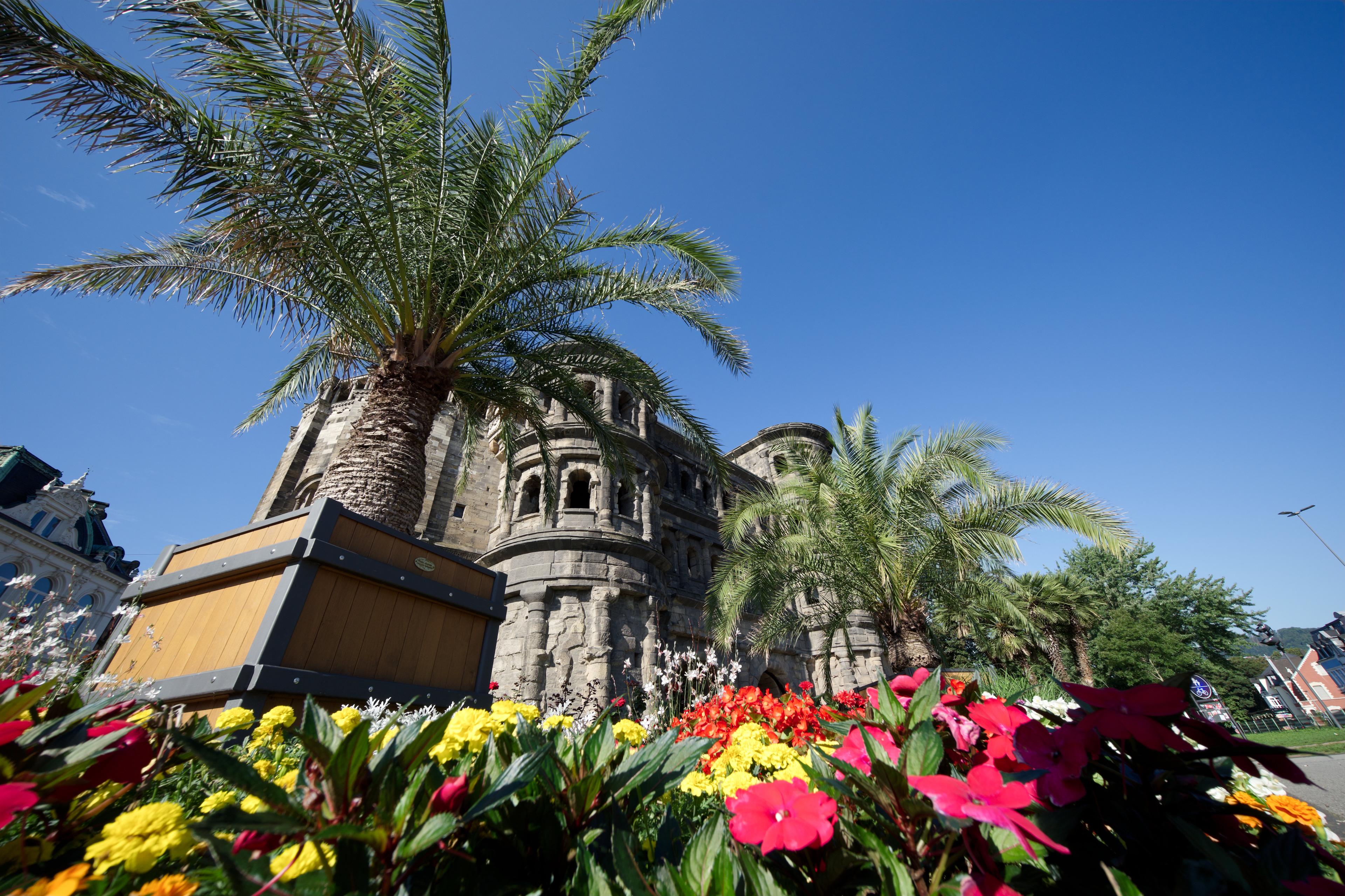 Apple Photos Document