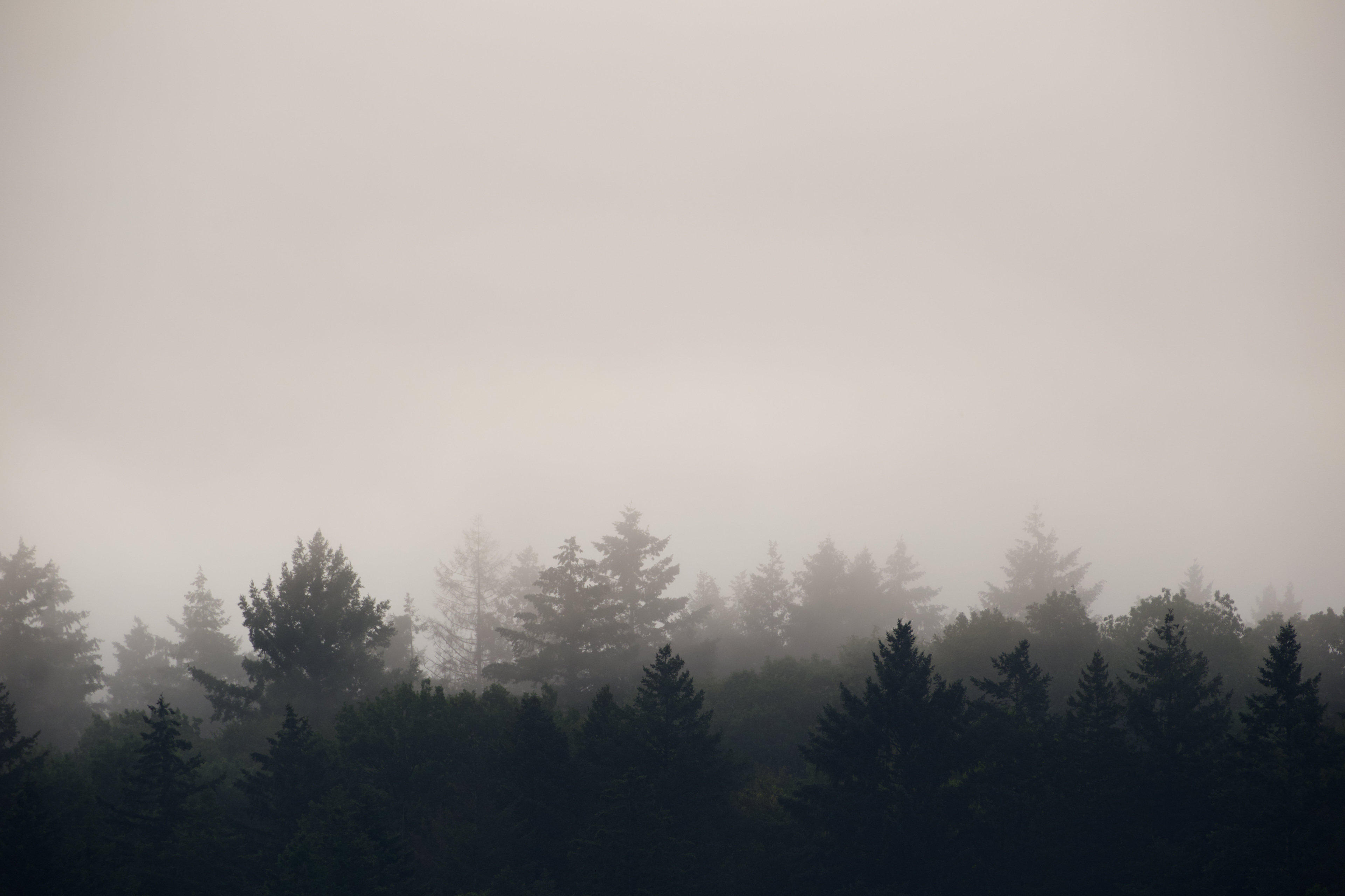 Apple Photos Document